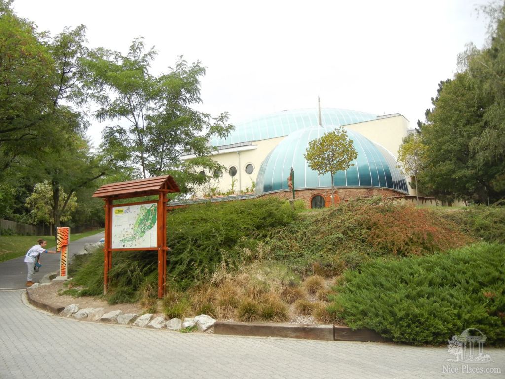 Крытый павильон с приматами - Братиславский зоопарк - взгляд на таинства природы