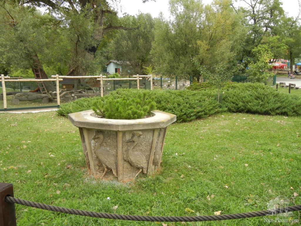 Красивая клумба - Братиславский зоопарк - взгляд на таинства природы