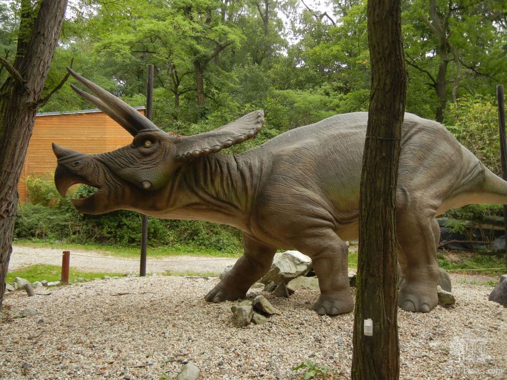 Житель Дино-парка - Братиславский зоопарк - взгляд на таинства природы