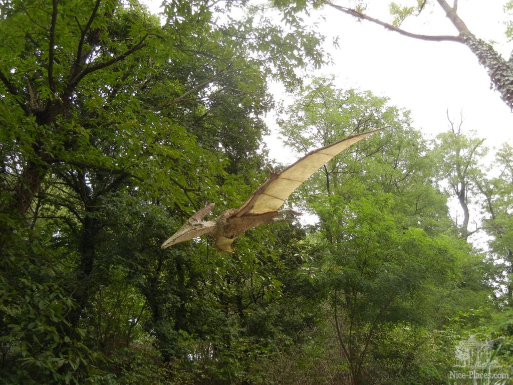 Птеродактель - Братиславский зоопарк - взгляд на таинства природы