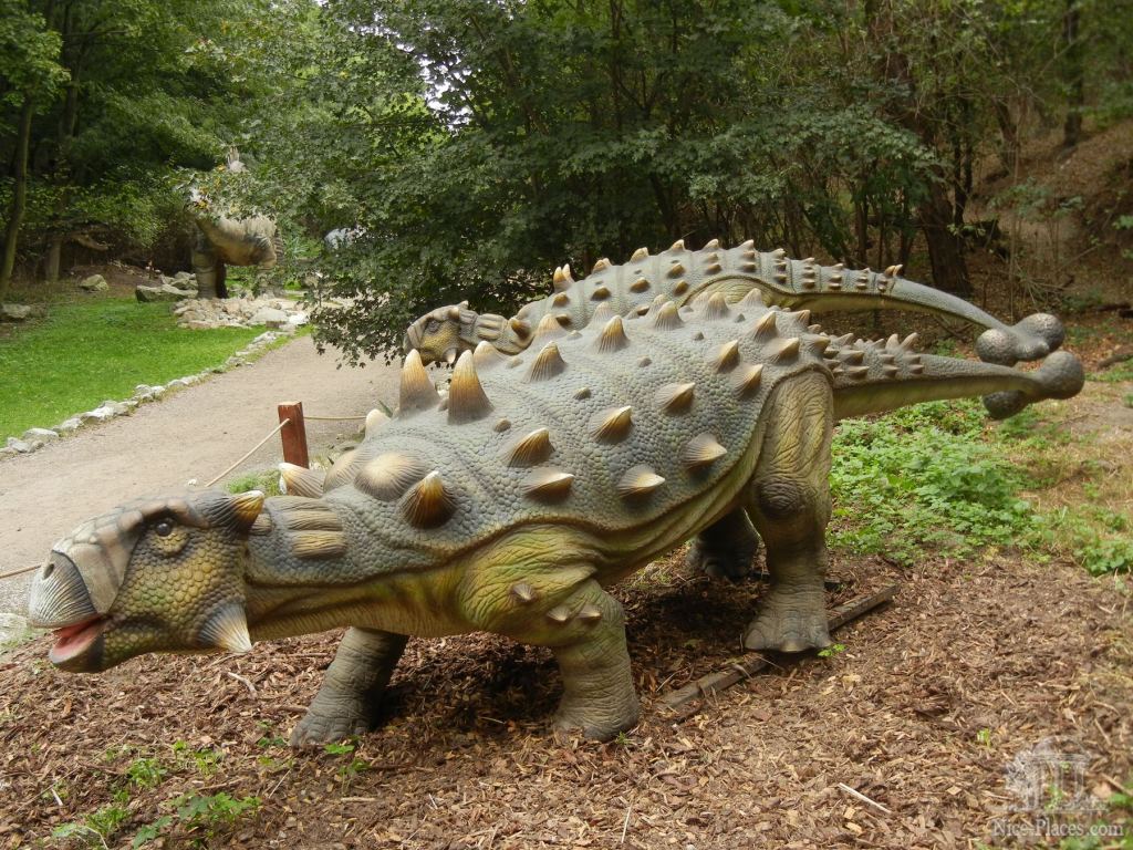 Житель Дино-парка - Братиславский зоопарк - взгляд на таинства природы