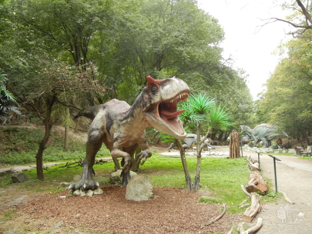 Даже не верится, что такие жили несколько сот миллионов лет назад - Братиславский зоопарк - взгляд на таинства природы