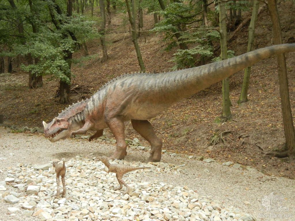 Житель Дино-парка - Братиславский зоопарк - взгляд на таинства природы