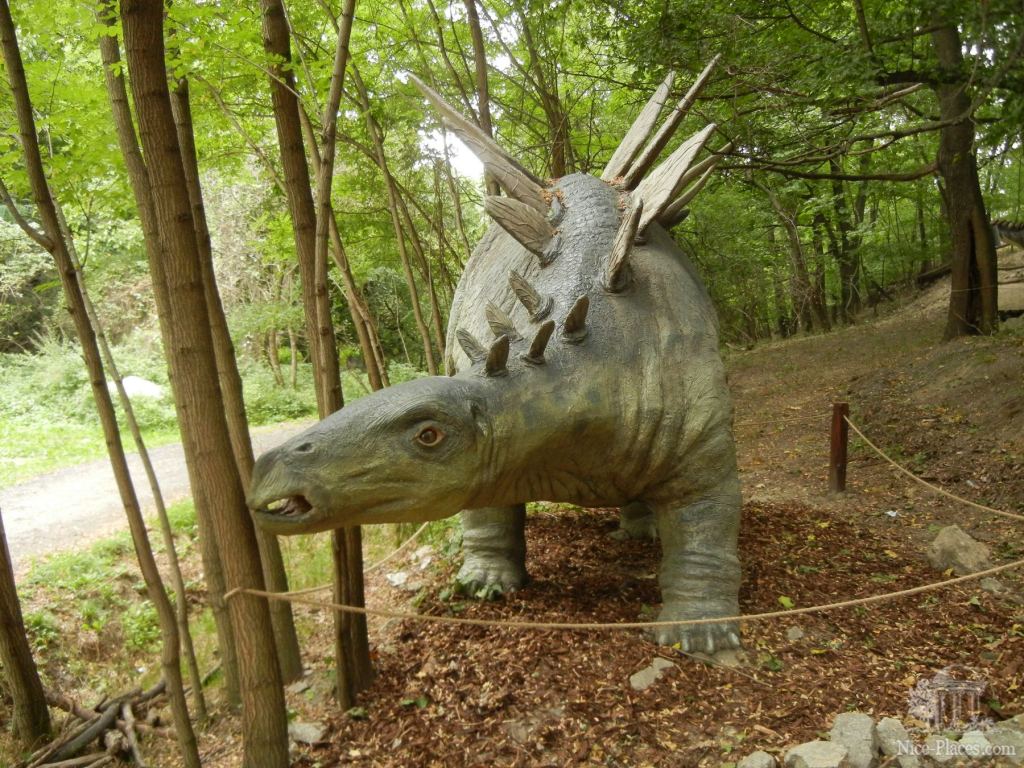 Фото 49 - Братиславский зоопарк - взгляд на таинства природы