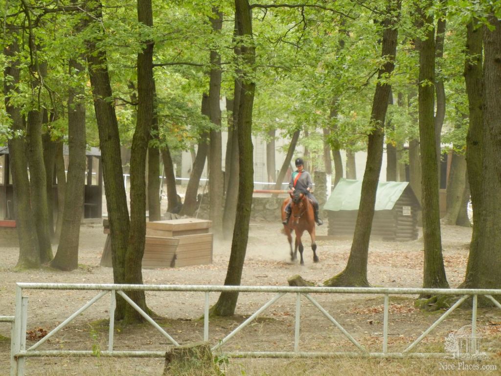В конце зоопарка - центр верховой езды - Братиславский зоопарк - взгляд на таинства природы