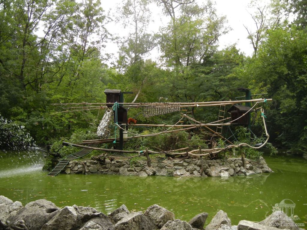 Вот этот остров-корабль. Лемурам там хорошо - Братиславский зоопарк - взгляд на таинства природы