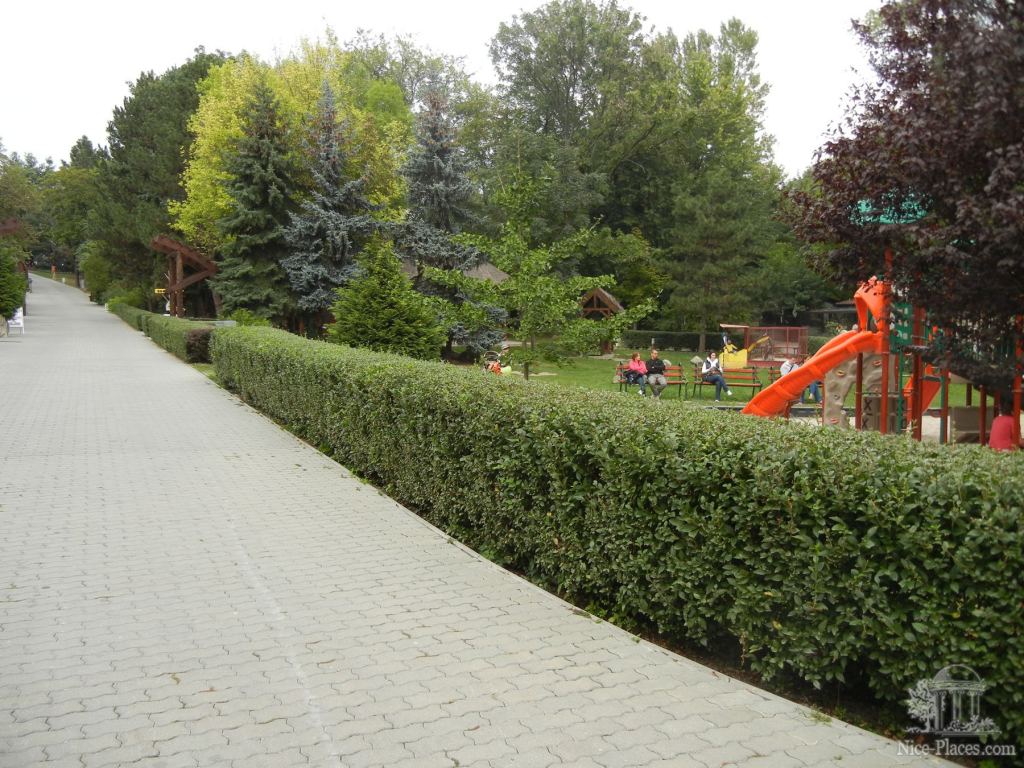 Аллейка в зоопарке - Братиславский зоопарк - взгляд на таинства природы