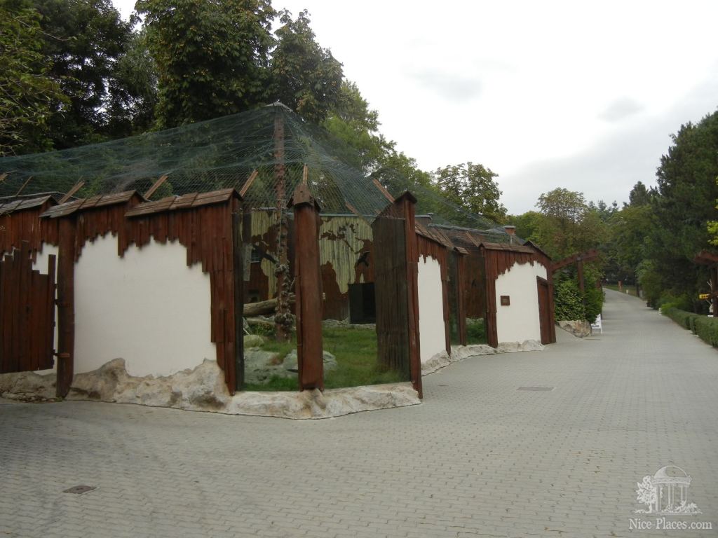 Так выглядят павильоны с львами и тиграми, ограда не клетки - а стекло - Братиславский зоопарк - взгляд на таинства природы