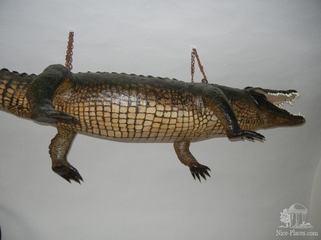 Фото 25 - Брно - столица Моравии