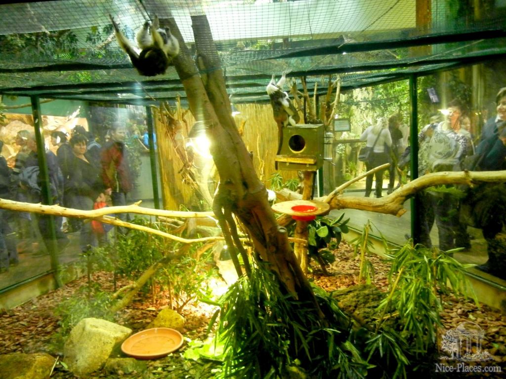 Тропикариум-океанариум в Будапеште - Будапешт - Океанариум