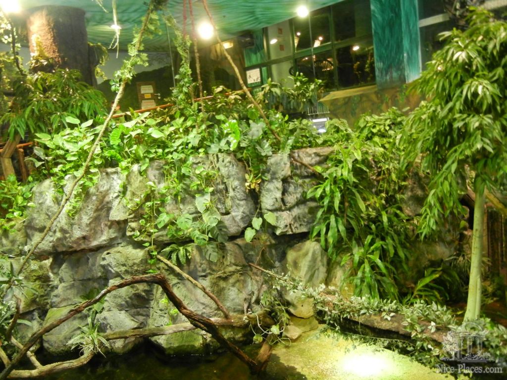 Тропикариум-океанариум в Будапеште - Будапешт - Океанариум