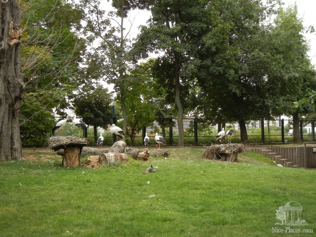 Фото 33 - Будапешт: площадь Героев, Вайдахуняд