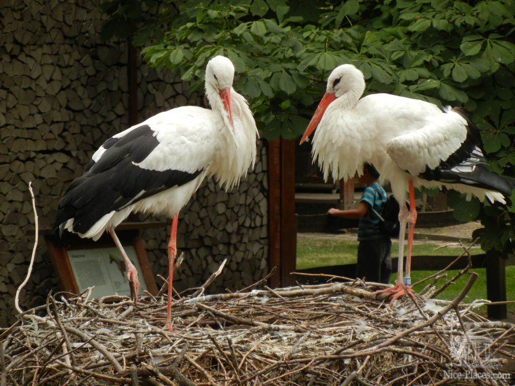 Фото 35 - Будапешт: площадь Героев, Вайдахуняд