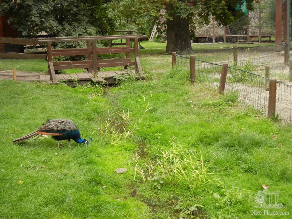 Фото 37 - Будапешт: площадь Героев, Вайдахуняд