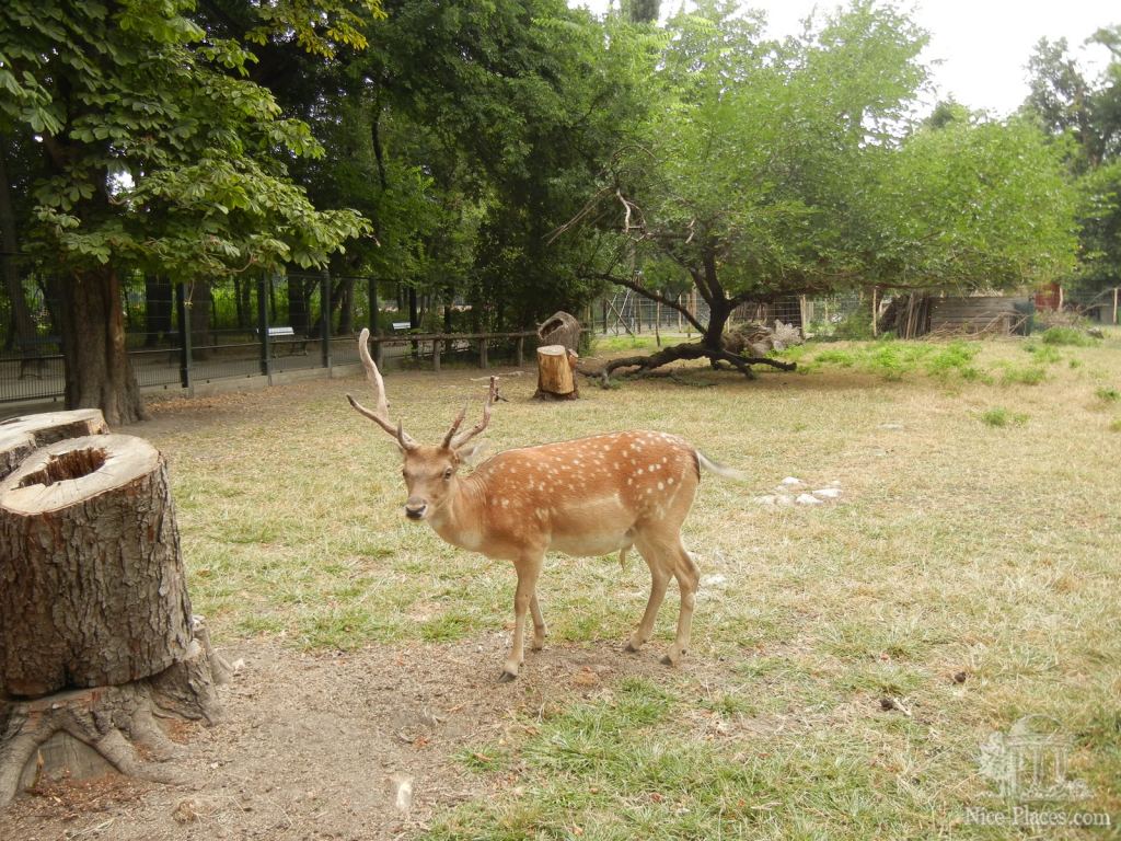 Фото 38 - Будапешт: площадь Героев, Вайдахуняд
