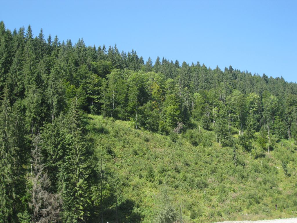 Фото 3 - Курорт Буковель летом