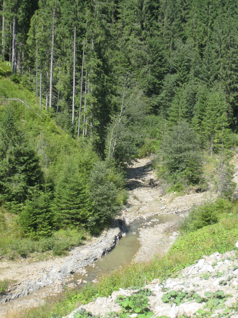 Фото 5 - Курорт Буковель летом