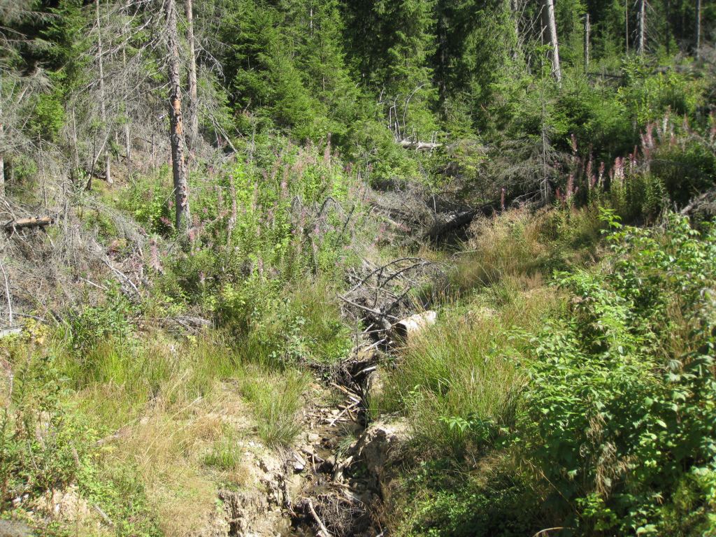 Фото 9 - Курорт Буковель летом