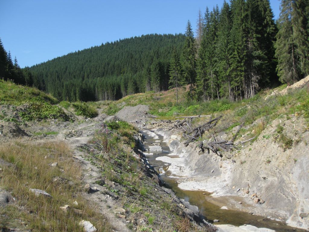 Фото 12 - Курорт Буковель летом