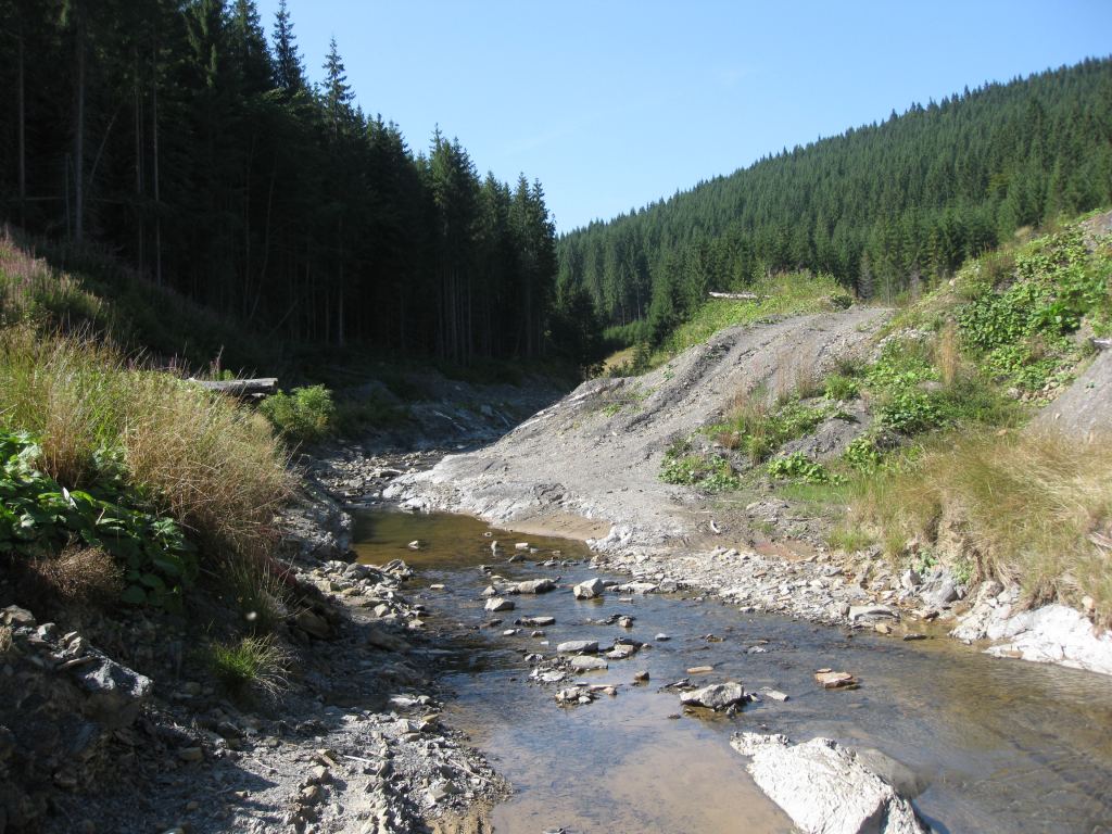 Фото 13 - Курорт Буковель летом