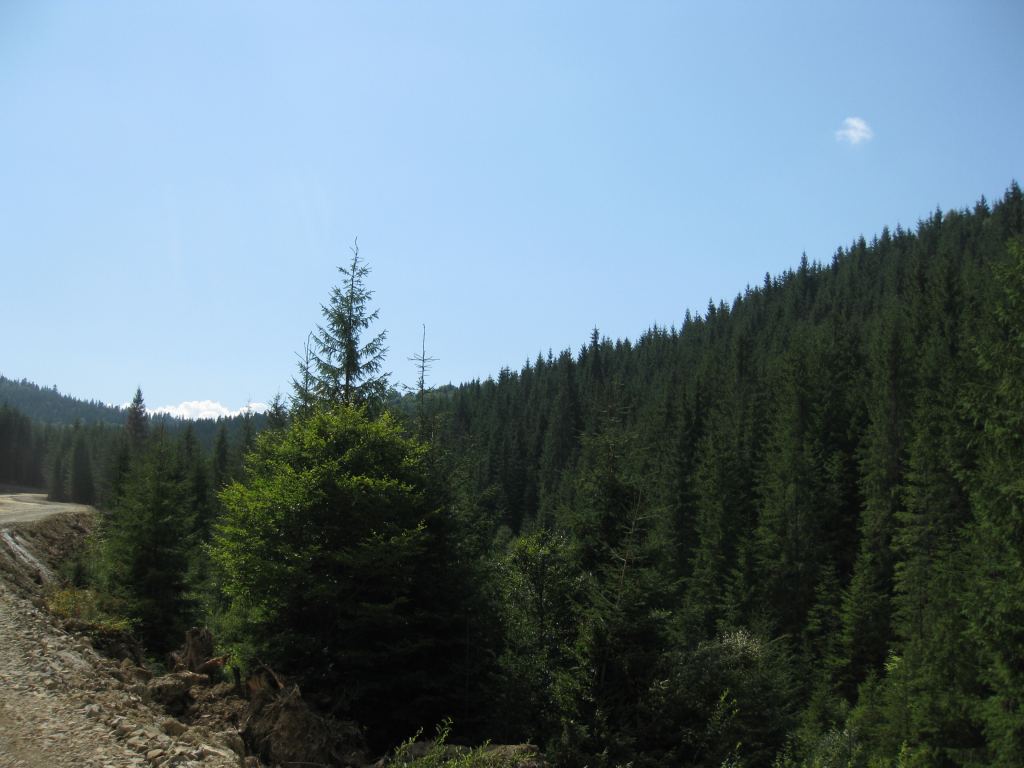 Фото 27 - Курорт Буковель летом