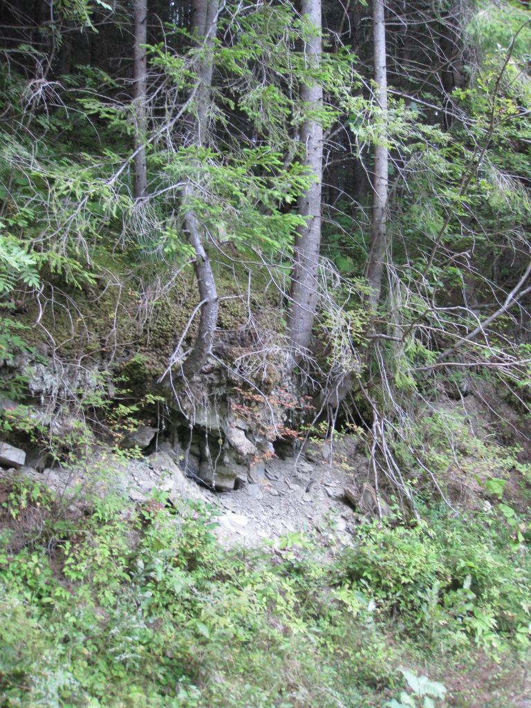 Фото 31 - Курорт Буковель летом