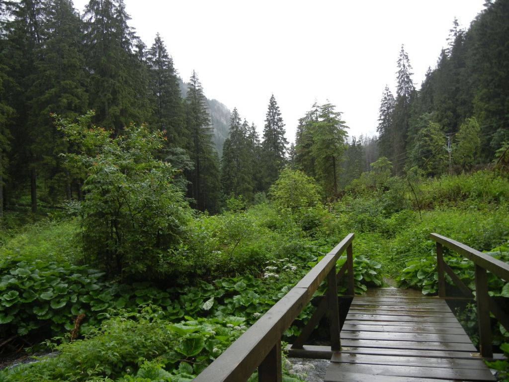 Фото 4 - Природа Демяновской долины, Словакия