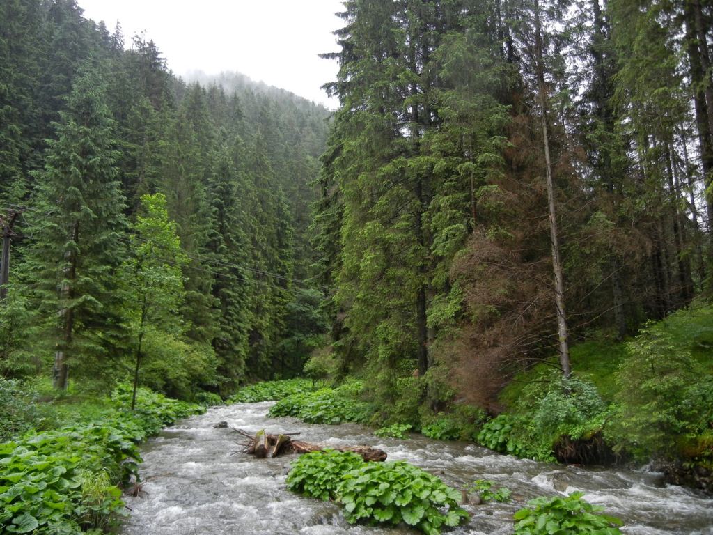Фото 6 - Природа Демяновской долины, Словакия
