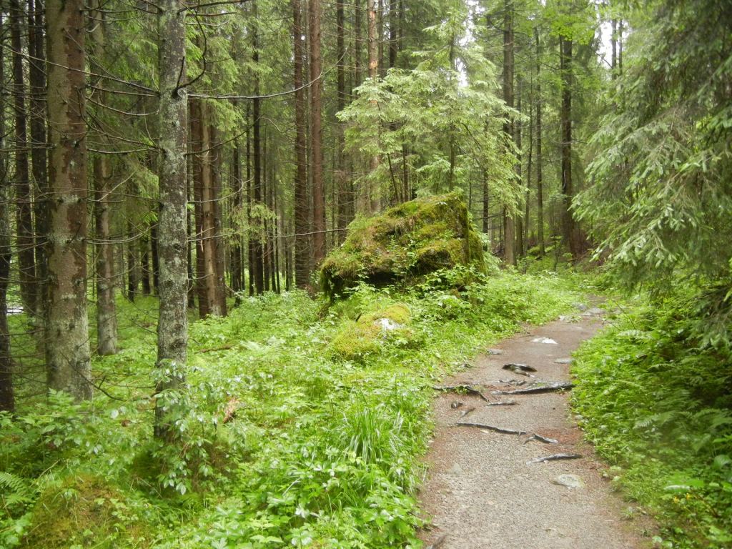 Фото 11 - Природа Демяновской долины, Словакия