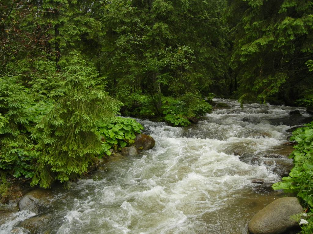 Фото 13 - Природа Демяновской долины, Словакия