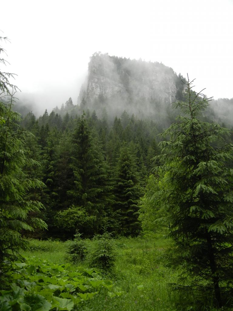 Фото 15 - Природа Демяновской долины, Словакия