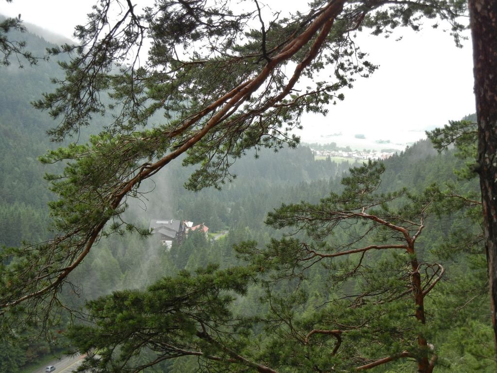 Фото 21 - Природа Демяновской долины, Словакия