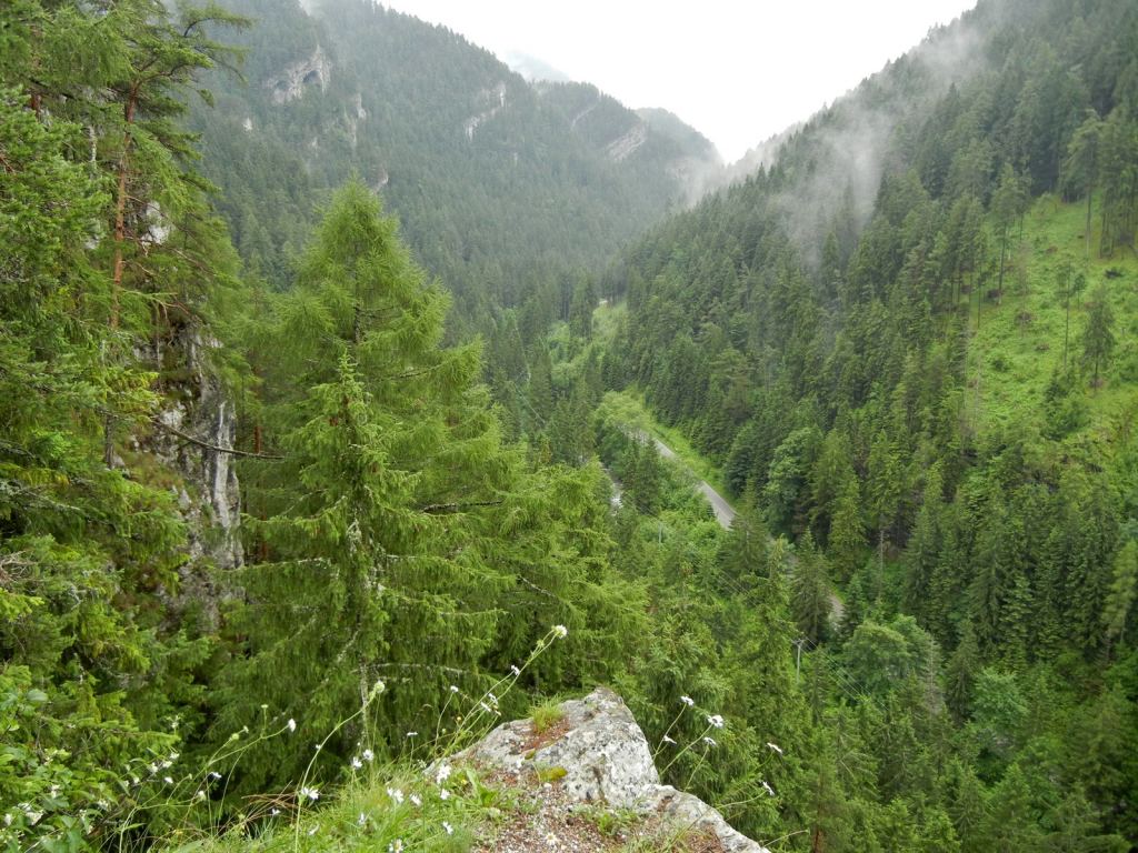 Фото 22 - Природа Демяновской долины, Словакия