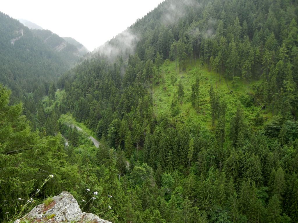 Фото 25 - Природа Демяновской долины, Словакия