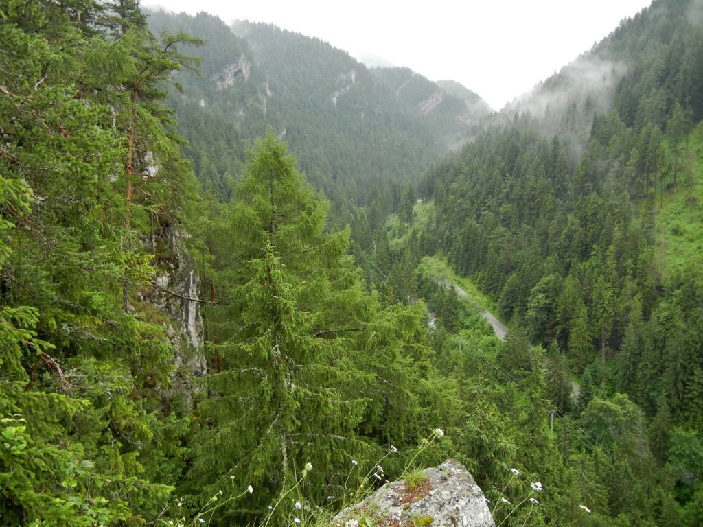 Фото 26 - Природа Демяновской долины, Словакия