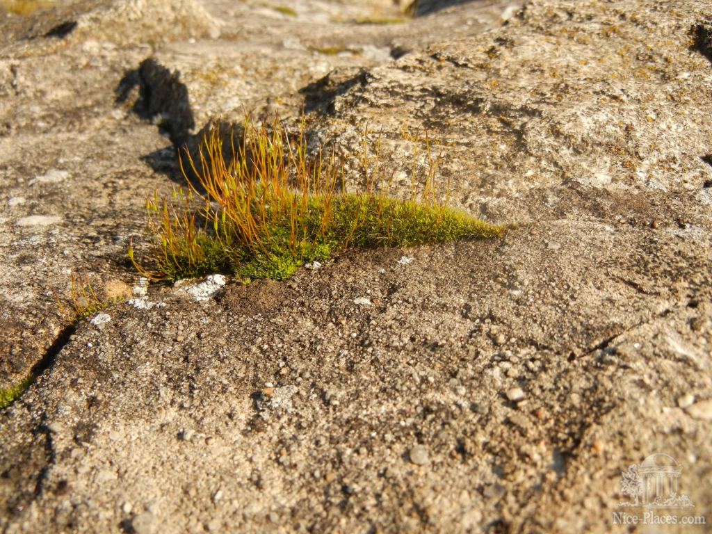 Фото 52 - Крепость Девин - достопримечательность Братиславы