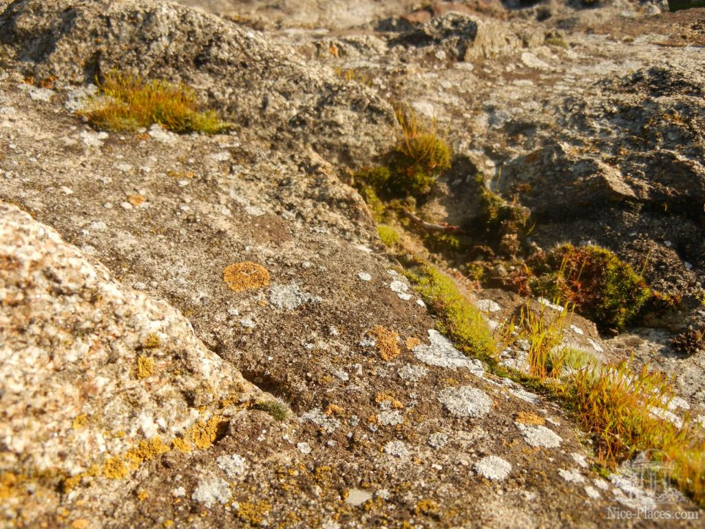 Фото 53 - Крепость Девин - достопримечательность Братиславы