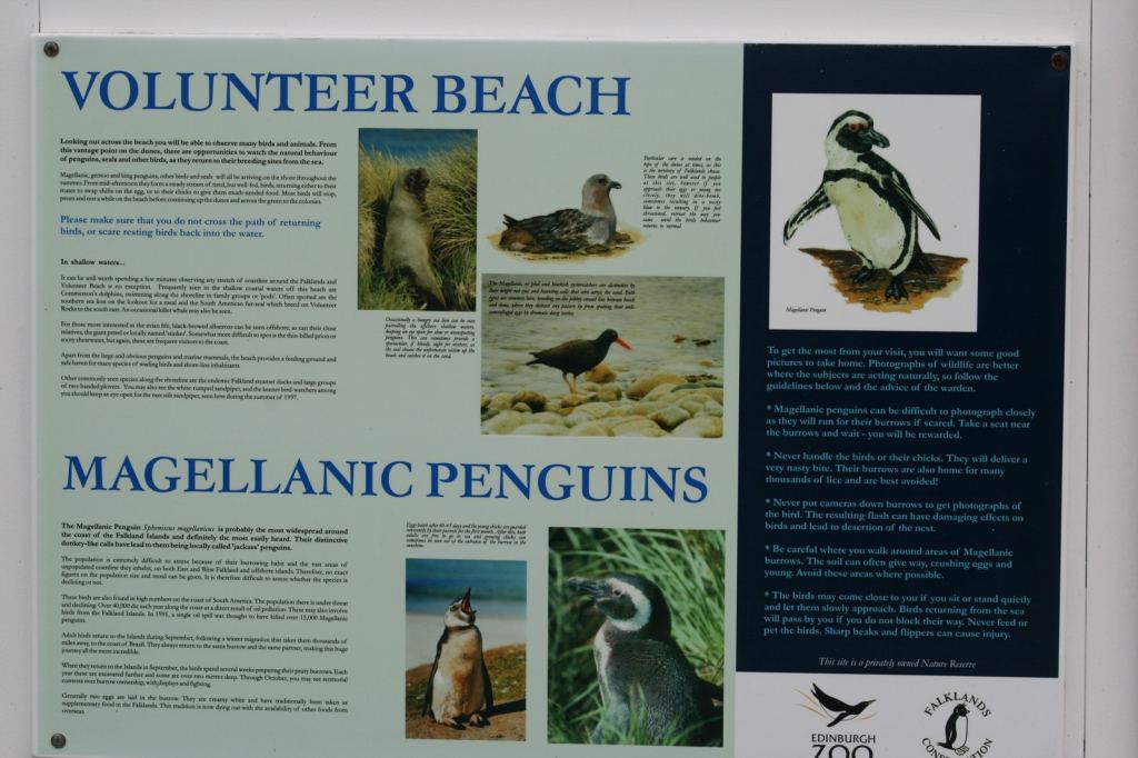 Фото 4 - Фолклендские острова