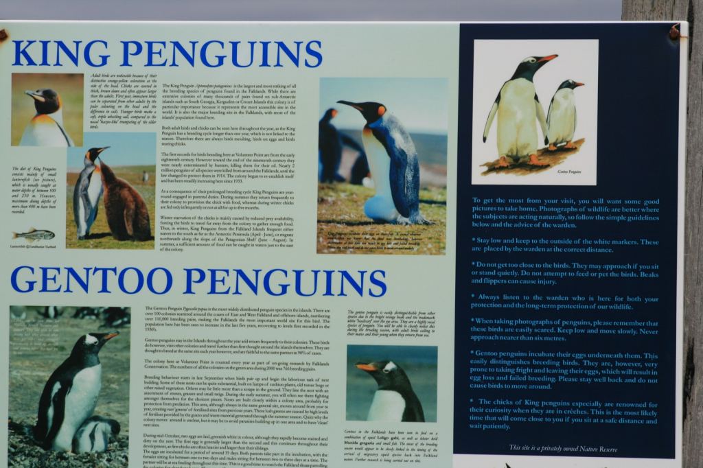 Фото 43 - Фолклендские острова