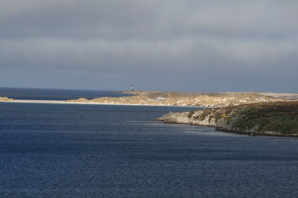 Фото 56 - Фолклендские острова