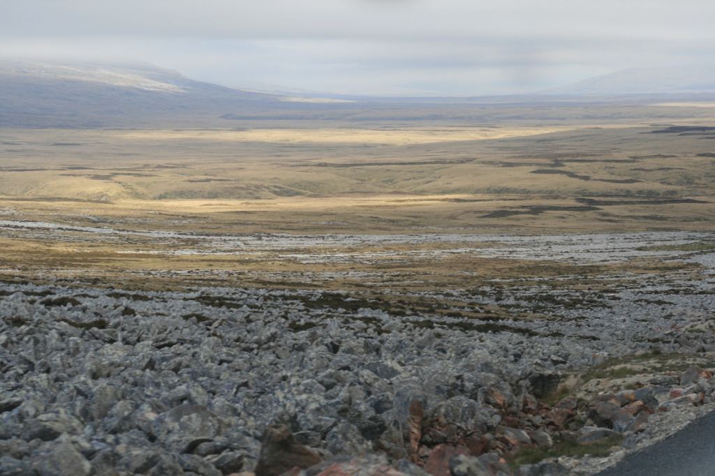 Фото 57 - Фолклендские острова