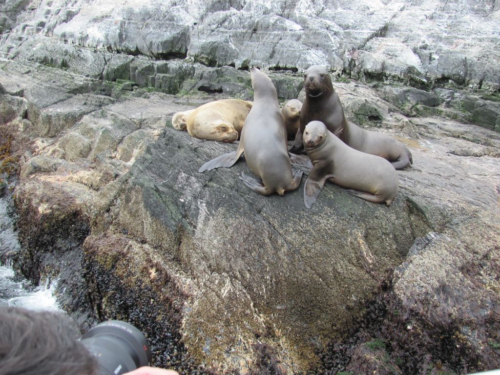 Фото 3 - Мыс Горн