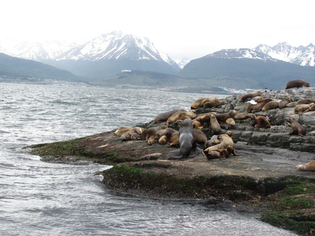 Фото 8 - Мыс Горн