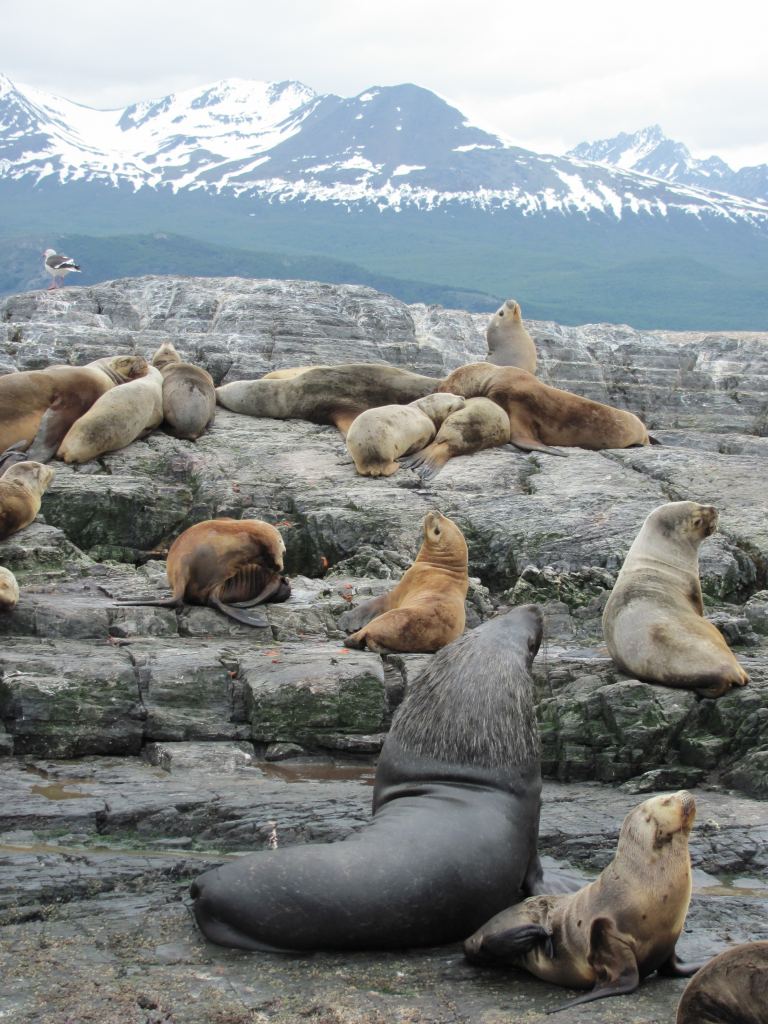 Фото 12 - Мыс Горн