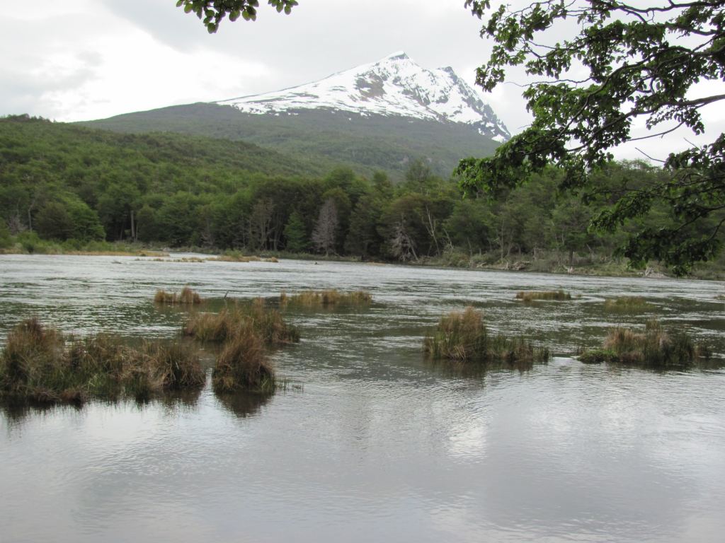 Фото 46 - Мыс Горн