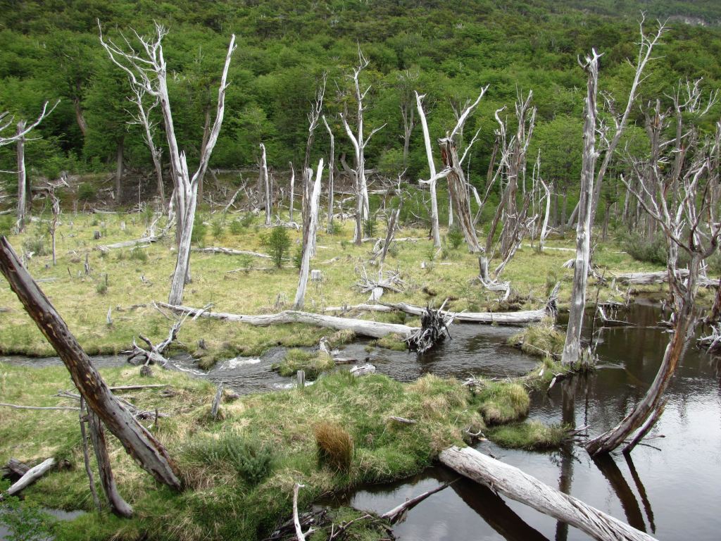 Фото 48 - Мыс Горн