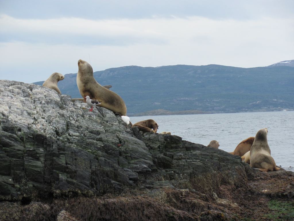 Фото 53 - Мыс Горн
