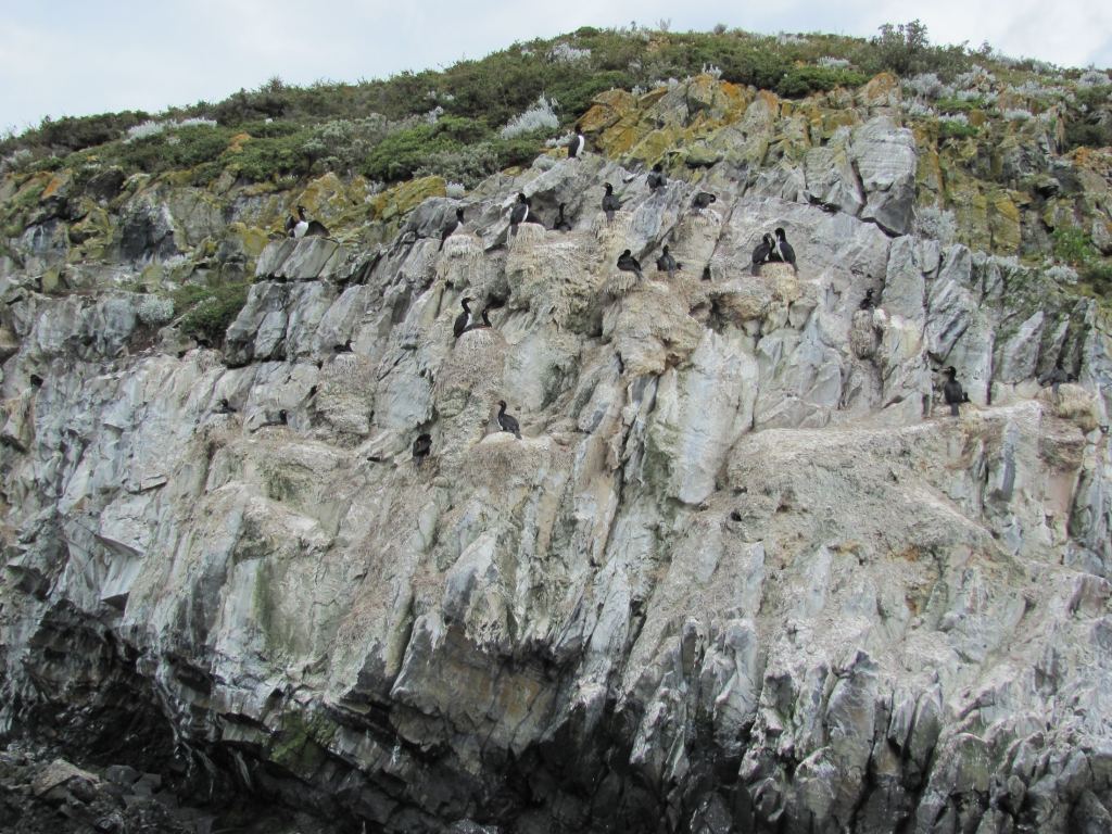 Фото 64 - Мыс Горн