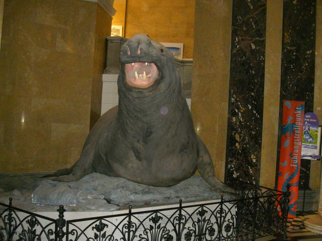 Фото 2 - Венгерский Национальный Музей естественной истории