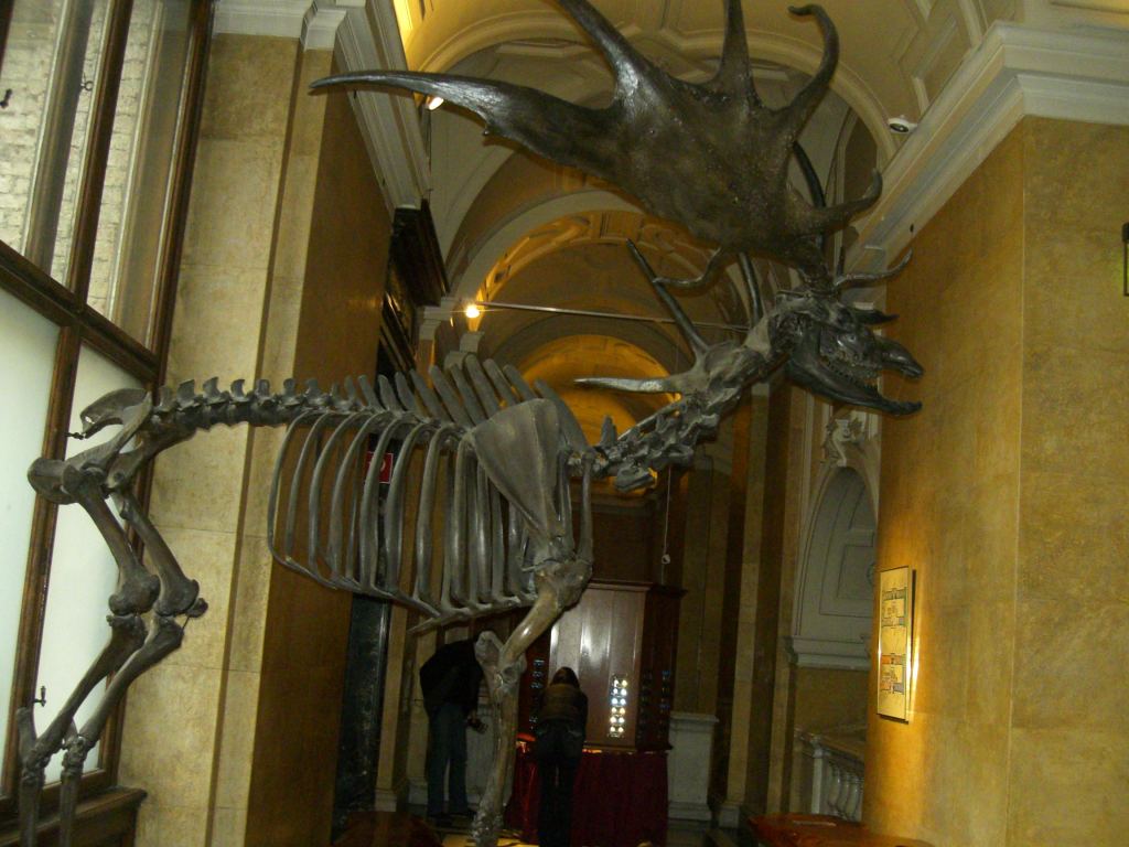 Фото 8 - Венгерский Национальный Музей естественной истории
